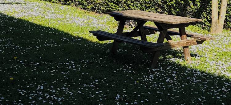 斯特拉斯堡西普瑞米尔经典酒店-泽尼特(Premiere Classe Strasbourg Ouest)图片