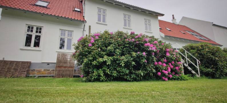 Aamølle旅馆(Aamølle Gæstgiveri)图片