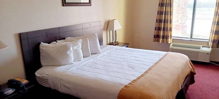 品质酒店及套房(Quality Inn & Suites)图片