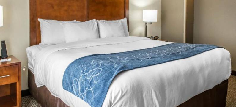 舒适套房酒店-近涅尔波托马克米尔斯(Comfort Suites Near Potomac Mills)图片