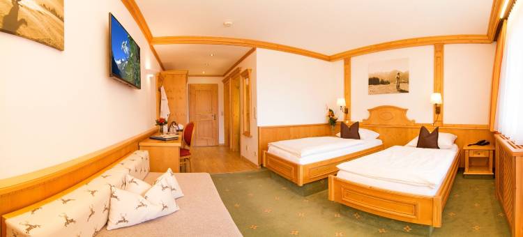 提罗雷尔霍夫阿尔彭酒店(Alpenhotel Tirolerhof)图片
