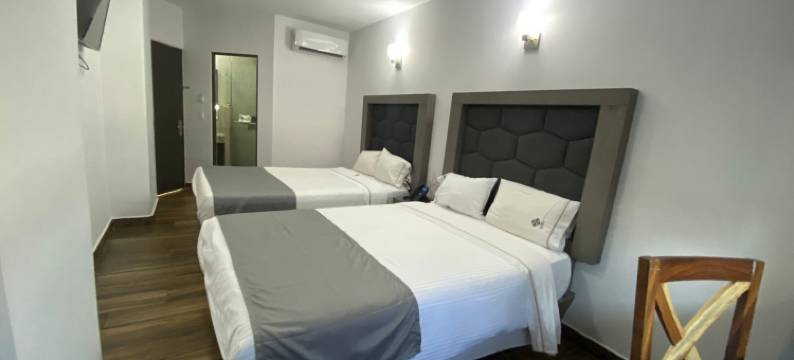 布加里机场酒店瓜达拉哈拉(Hotel Bugari Aeropuerto Guadalajara)图片