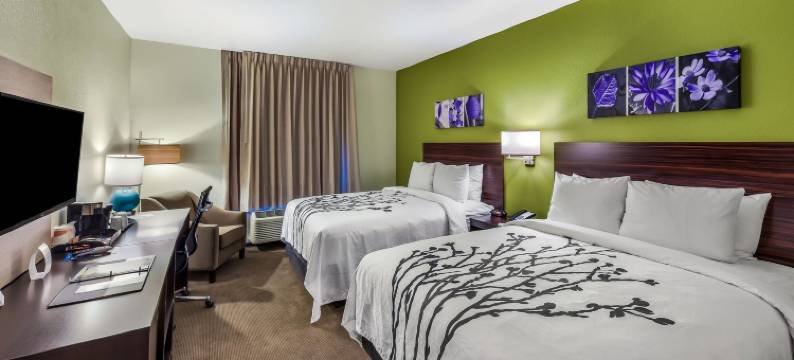 舒眠酒店及套房沃斯堡 - 化石溪(Sleep Inn & Suites Fort Worth - Fossil Creek)图片