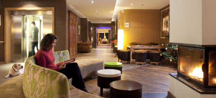 金狮酒店(Spa Hôtel Restaurant Au Lion d'Or)图片