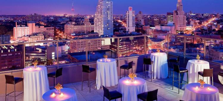 纽约布鲁克林喜来登酒店(Sheraton Brooklyn New York)图片