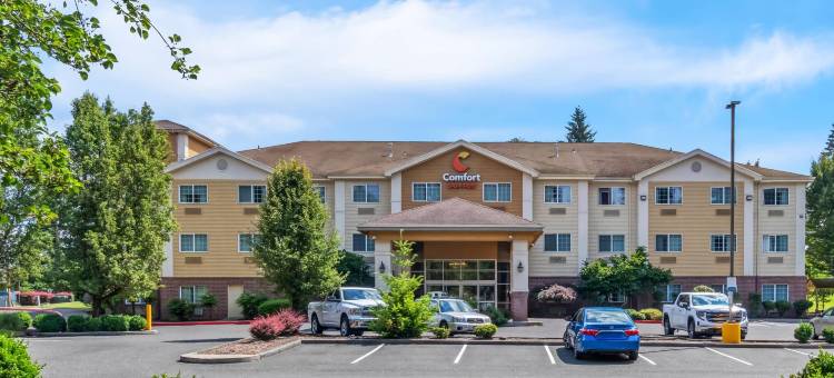 舒适套房酒店(Comfort Suites)图片