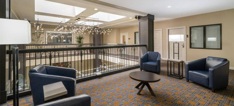 棕榈阁贝斯特韦斯特优质酒店(Best Western Plus Palm Court Hotel)图片