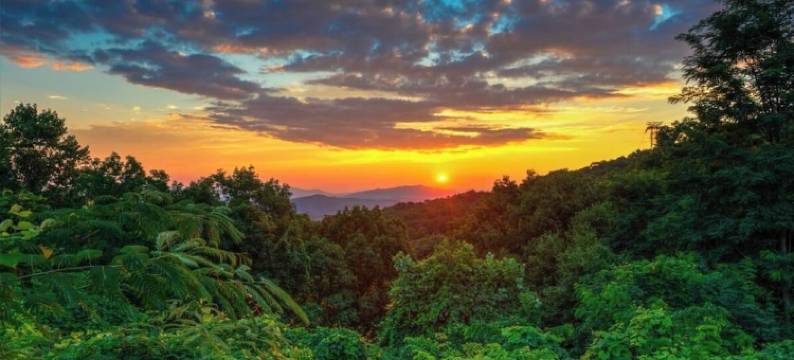 Promo 10% Weekly Discount!February Special,Hot Tub Pool Table, Arcades Wifi-Pet图片