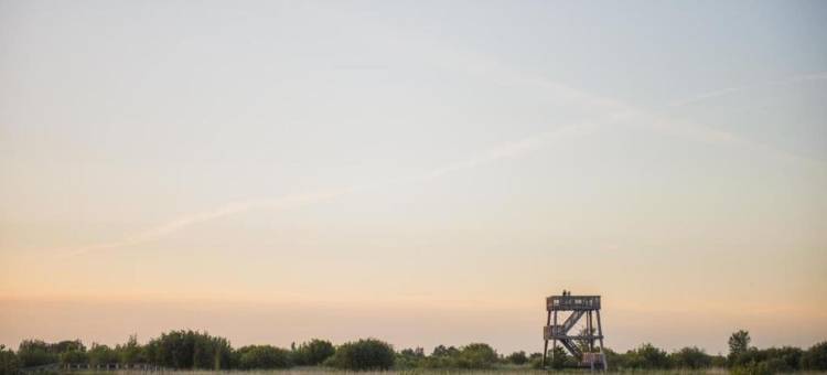 Wildlife Haven Near Le Pouldu图片