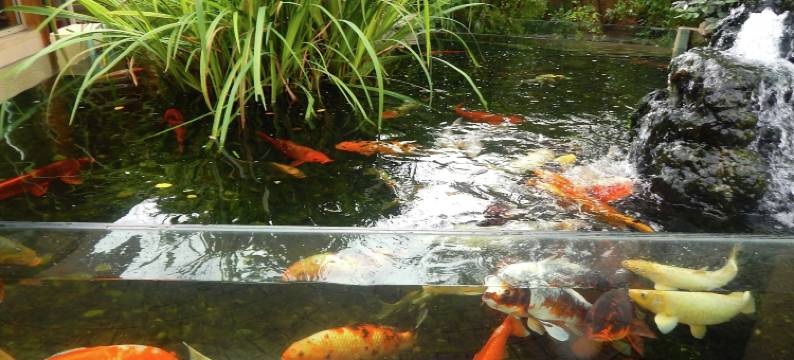 Cottage in Vézac near Forest and Lake图片