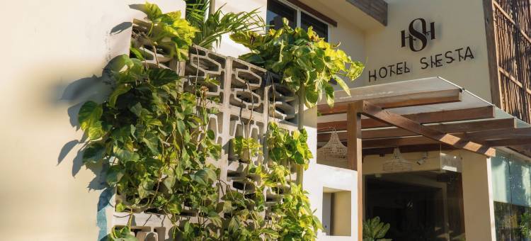 希耶斯塔霍尔柏克斯酒店(Hotel Siesta Holbox)图片