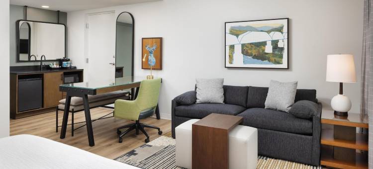 查塔努加市中心希尔顿惠庭套房酒店(Embassy Suites by Hilton Chattanooga Downtown)图片