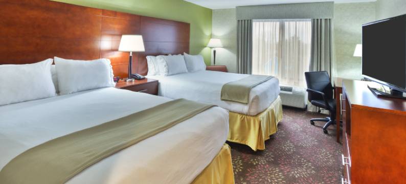 弗兰肯默斯智选假日酒店(Holiday Inn Express & Suites FRANKENMUTH by IHG)图片