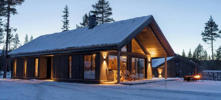 豪华度假屋，滑雪，桑拿，远程办公(Luxury Holiday Home, Skiing, Sauna, Remote Office)图片
