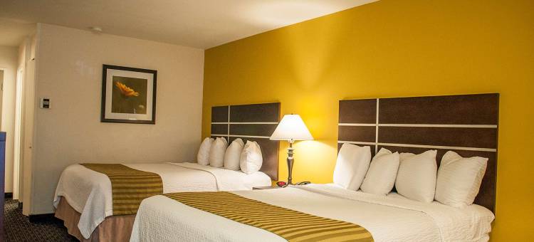 弗雷斯诺乡村贝斯特韦斯特酒店(Best Western Village Inn)图片