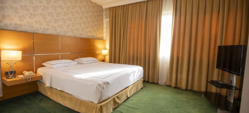 阿奈蒙马尼萨酒店(Anemon Grand Manisa Otel)图片