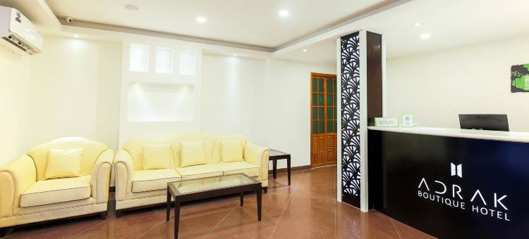 Treebo Trend Adrak图片