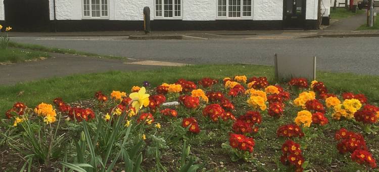 奥利弗旅馆 斯考比(Olivers Guesthouse Scawby)图片