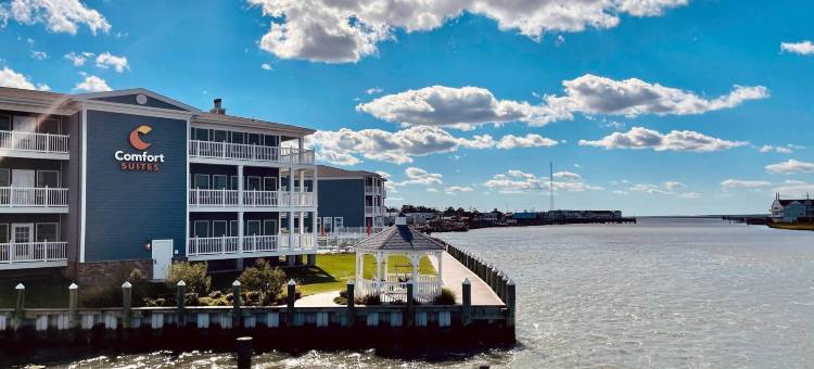 钦科蒂格岛海湾舒适套房度假村(Comfort Suites Chincoteague Island Bayfront Resort)图片
