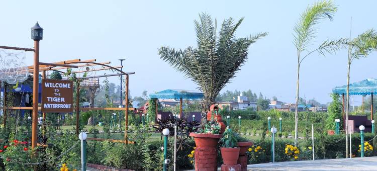 老虎滨水度假村(The Tiger Waterfront Resort)图片