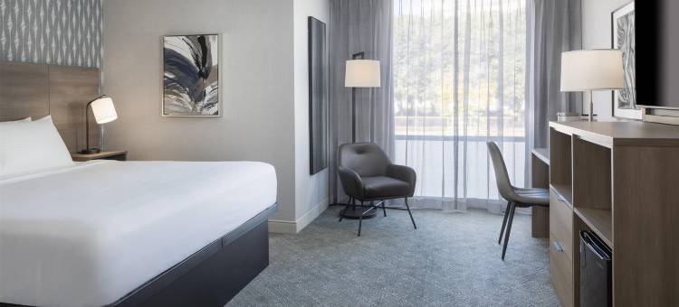现代Sonesta市中心酒店(The Midtown Hotel Mod Collection by Sonesta)图片