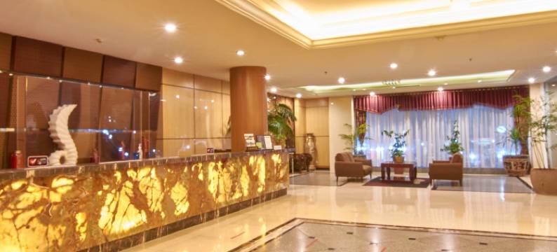 巴东洛基广场酒店(Rocky Plaza Hotel Padang)图片