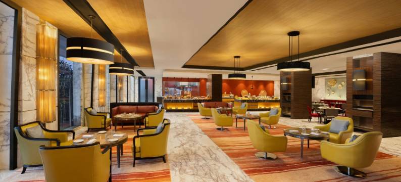 比拉斯布尔万怡酒店(Courtyard Bilaspur)图片