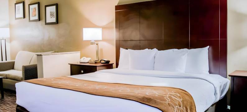 克利尔沃特-但尼丁舒适套房酒店(Comfort Suites Clearwater - Dunedin)图片