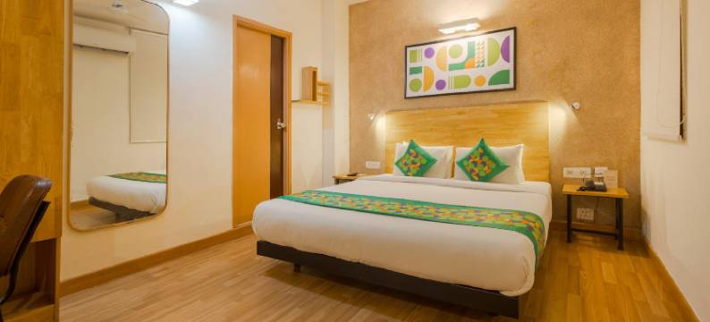 Treebo Ace Luxe图片