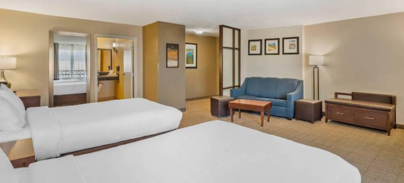 舒适套房酒店(Comfort Suites)图片