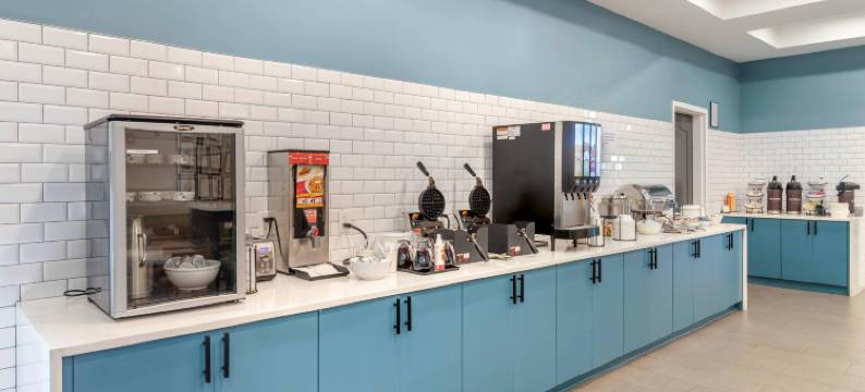 萨凡纳机场江山套房旅馆(Country Inn & Suites by Radisson, Savannah Airport, GA)图片