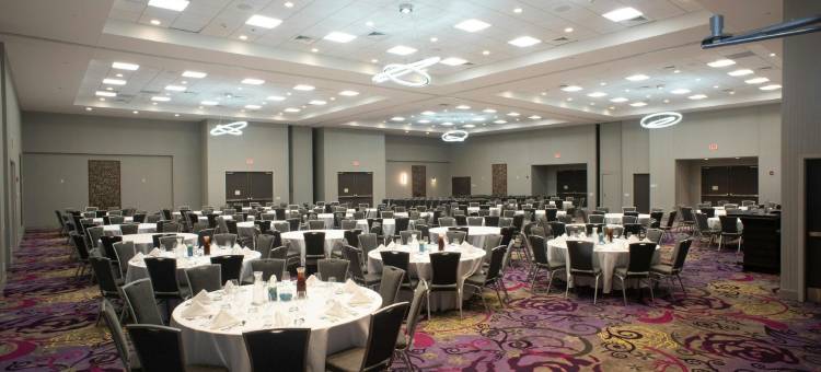 假日套房酒店-乔利埃特西南(Holiday Inn & Suites JOLIET SOUTHWEST by IHG)图片