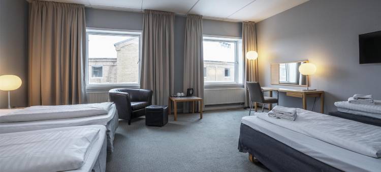 措斯楚斯霍耶哥本哈根西部酒店, 丽祺精选(Hoje Taastrup Hotel Copenhagen West, a member of Radisson Individuals)图片