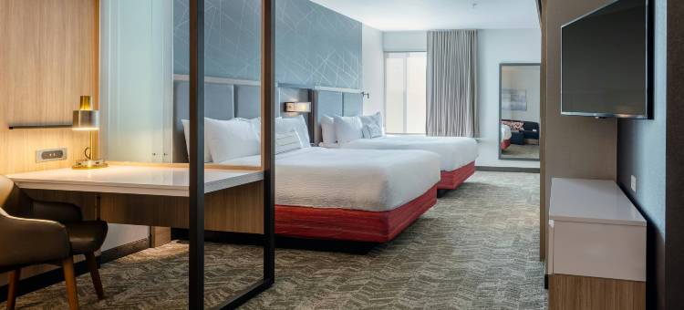 哥伦比亚SpringHill Suites酒店(SpringHill Suites Columbia)图片