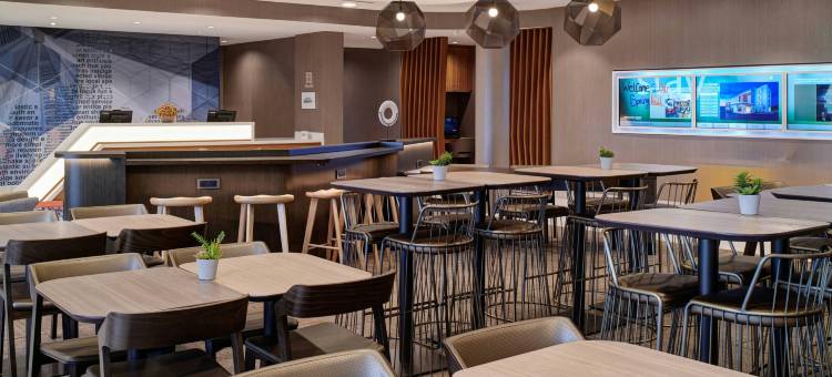 底特律威克森万豪SpringHill Suites酒店(SpringHill Suites by Marriott Wixom Novi)图片
