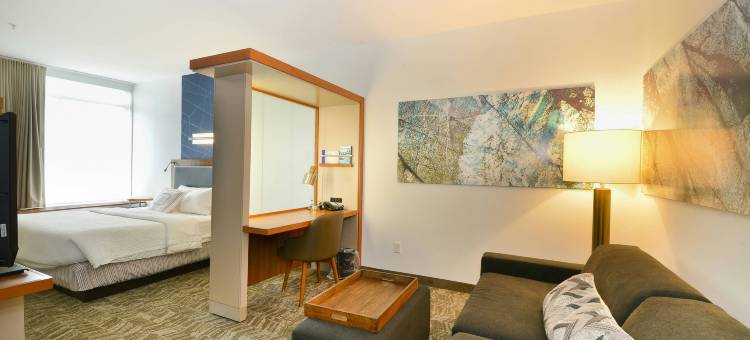 大福克斯万豪SpringHill酒店(SpringHill Suites Grand Forks)图片