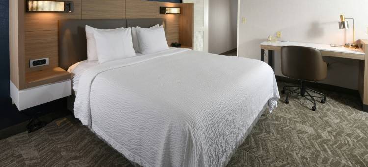 西德梅茵万豪SpringHill酒店(SpringHill Suites des Moines West)图片