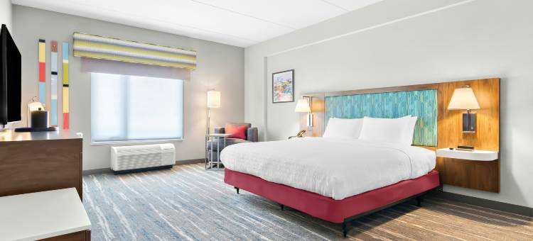 Hampton Inn & Suites芝加哥医学区UIC(Hampton Inn & Suites by Hilton Chicago Medical District UIC)图片