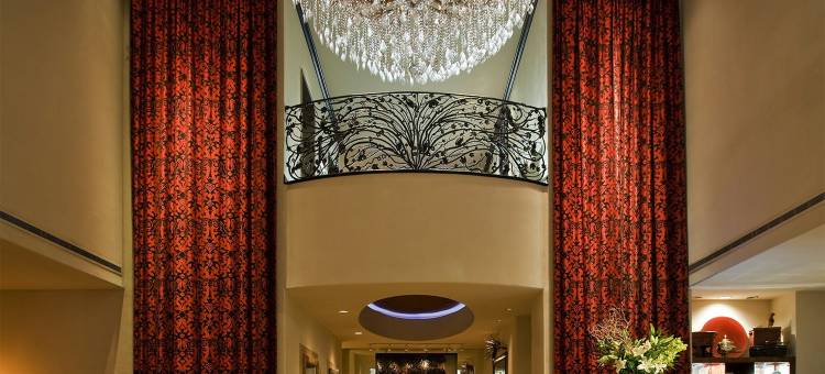 达拉斯萨扎酒店(Hotel ZaZa Dallas)图片