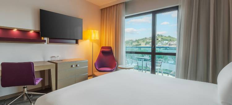 奥拉迪亚希尔顿逸林酒店(DoubleTree by Hilton Oradea)图片