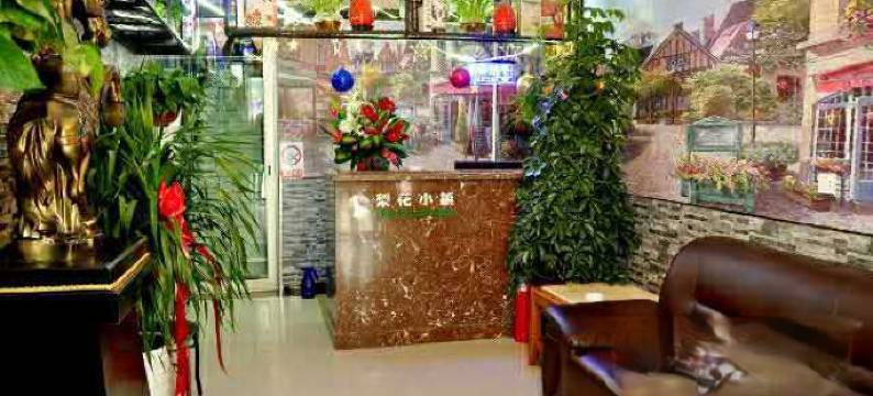 南召梨花小镇概念酒店图片