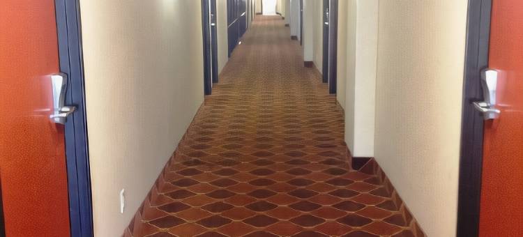 Suburban 开间布兰森大道(Suburban Studios Branson on the Strip)图片