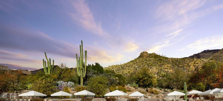 洛伊斯塔纳峡谷度假酒店(Loews Ventana Canyon Resort)图片