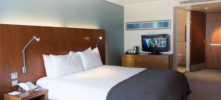 伦敦卡姆登洛克假日酒店(Holiday Inn London - Camden Lock)图片