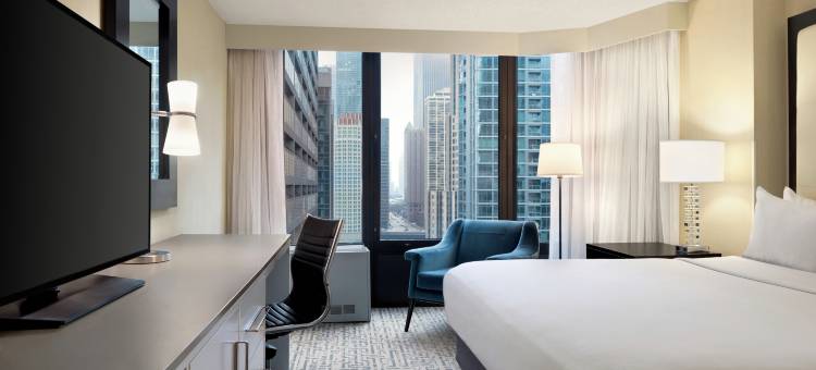 芝加哥壮丽大道希尔顿逸林酒店(DoubleTree by Hilton Chicago Magnificent Mile)图片