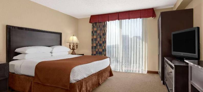 堪萨斯城广场希尔顿惠庭套房酒店(Embassy Suites by Hilton Kansas City Plaza)图片