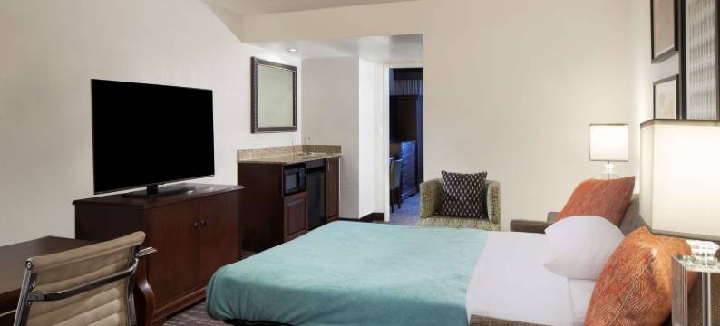 希尔顿费城机场大使套房酒店(Embassy Suites by Hilton Philadelphia Airport)图片