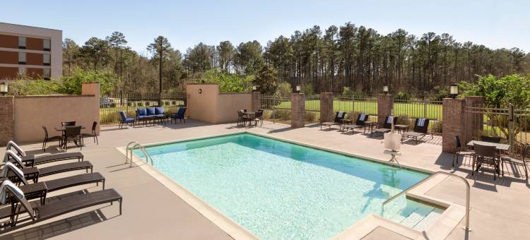 智选假日套房酒店欧佩莱卡赤褐色(Holiday Inn Express & Suites Opelika Auburn)图片