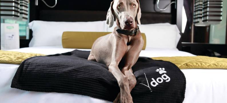 维达拉水疗度假酒店(Vdara Hotel & Spa at ARIA Las Vegas)图片