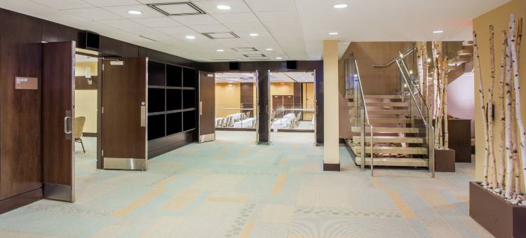 洲际旗下皇冠假日伦巴第唐纳斯格罗夫酒店(Crowne Plaza Lombard Downers Grove)图片